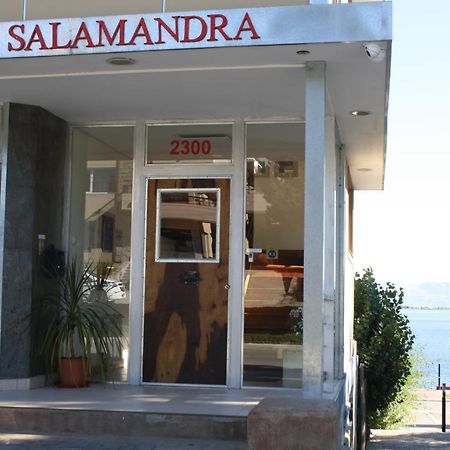 Salamandra Apartamentos Ελ Καλαφάτε Εξωτερικό φωτογραφία