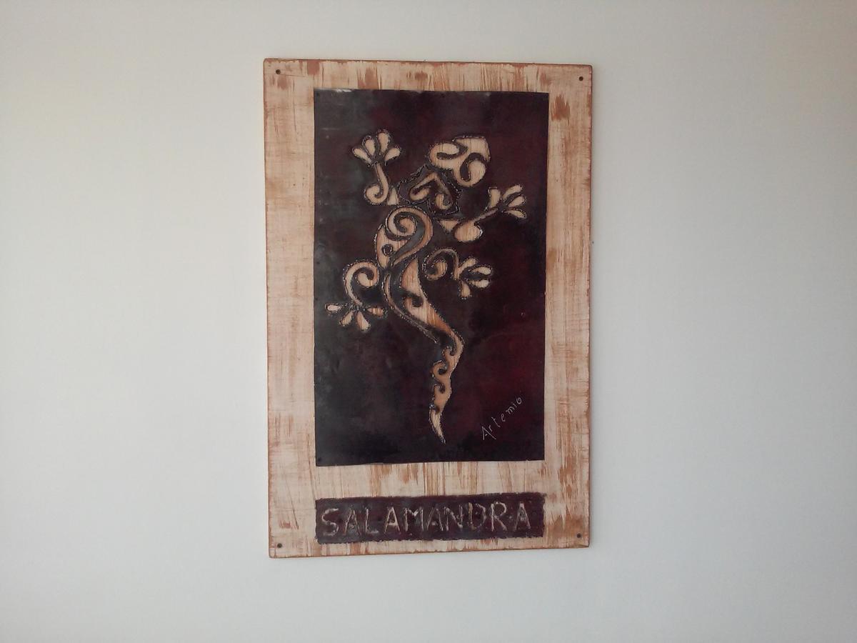 Salamandra Apartamentos Ελ Καλαφάτε Εξωτερικό φωτογραφία
