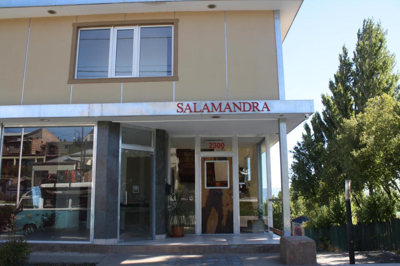 Salamandra Apartamentos Ελ Καλαφάτε Εξωτερικό φωτογραφία